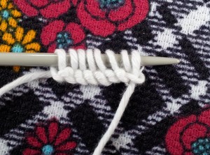 cast on 8 stitches case bottom