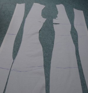 Cut 1st Toile (2)