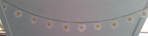Daisy Garland