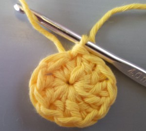 Slip stitch into 3rd chain of 3 chain to form ring