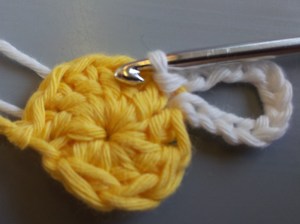 Slip Stitch into same chain space to form petal