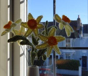 Daffodils