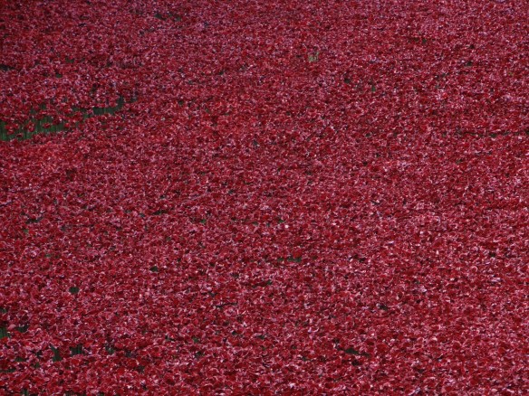 Blood Swept Lands and Seas of Res