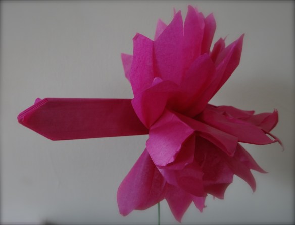 The magic of the paper flower
