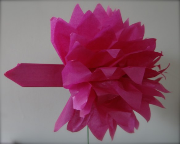 the magic of paper flowers