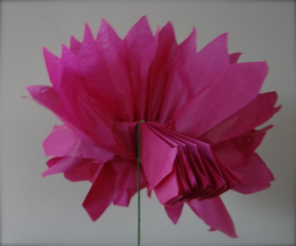 2nd side of tissue paper flower